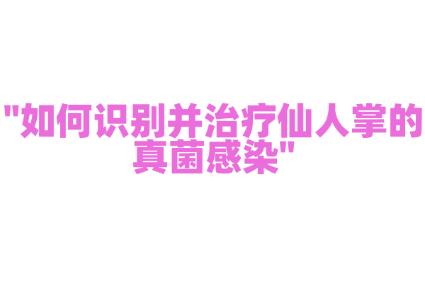 "如何识别并治疗仙人掌的真菌感染"